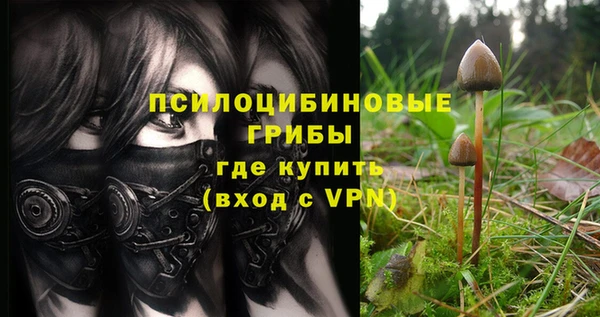 прущая мука Краснослободск