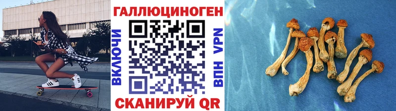 закладки  Хотьково  Галлюциногенные грибы мухоморы 